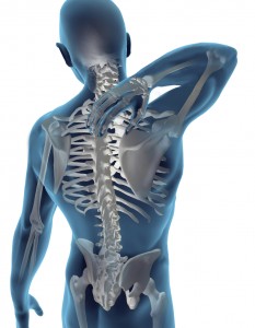 Full-Skeleton-Back-Pain1